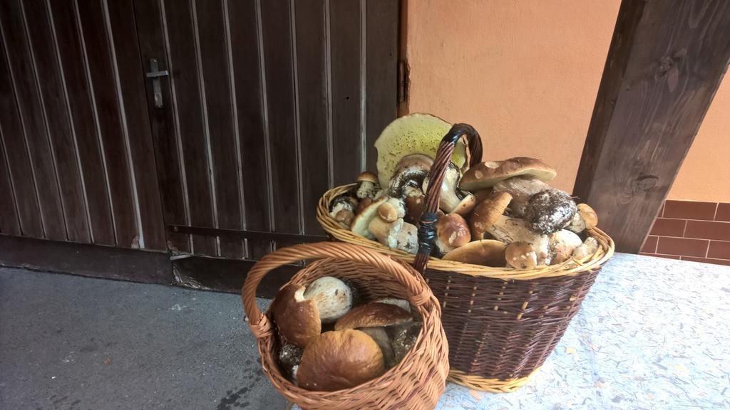 Penzion Jizerka Jablonec nad Nisou Exterior foto